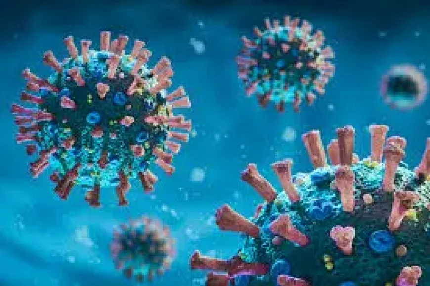 Cicada Covid Variant Ba 3.2 and Older Americans: What Public Health Officials Are Watching