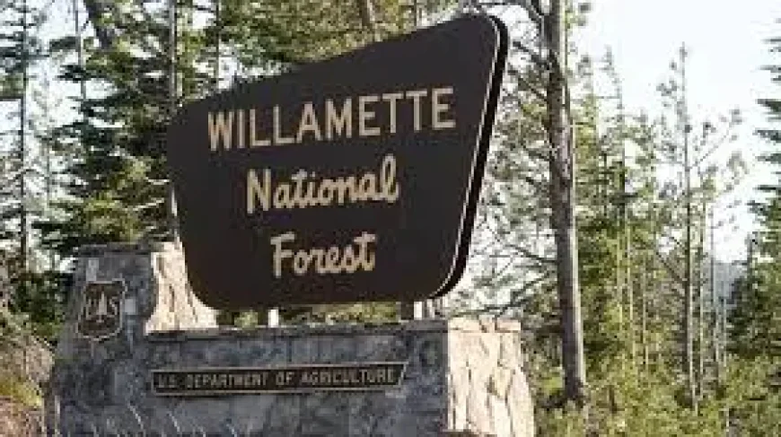 Us Forest Service shakeup: uncertainty grows after Michigan and Pennsylvania facility closure headlines