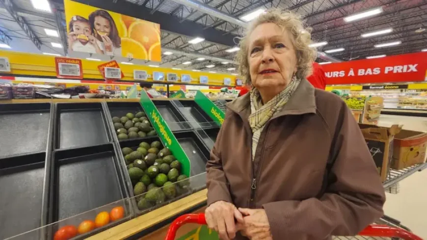 Greve Fruits Et Legumes: 550 Workers Walk Out as Super C Shelves Show Early Shortages