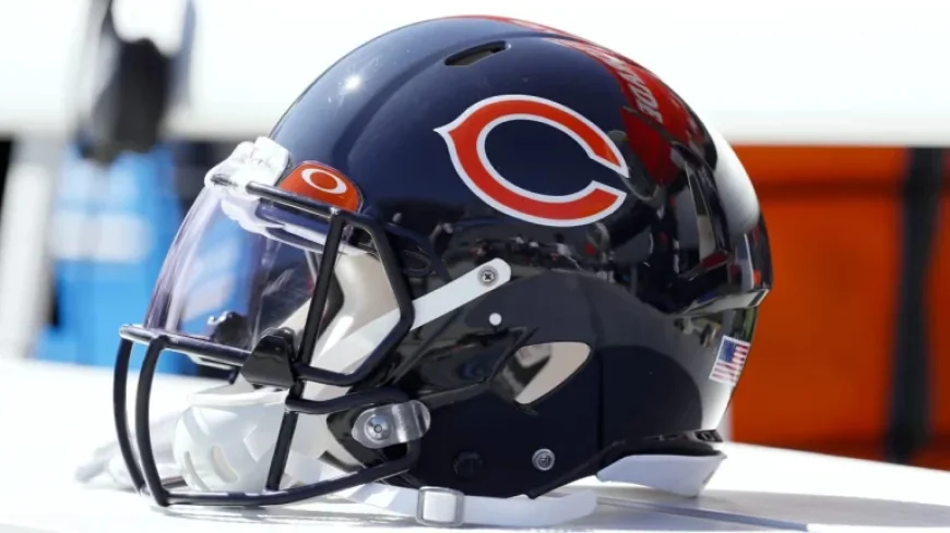 Bears to Decide on Stadium Location by Mid-Year