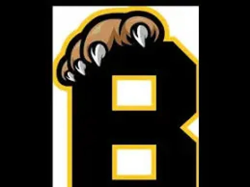 Sudbury Wolves swept: sudbury wolves fall 2-1 in Game 4 as Bulldogs advance