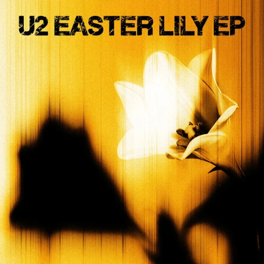 U2 Releases New Track ‘Easter Lily’