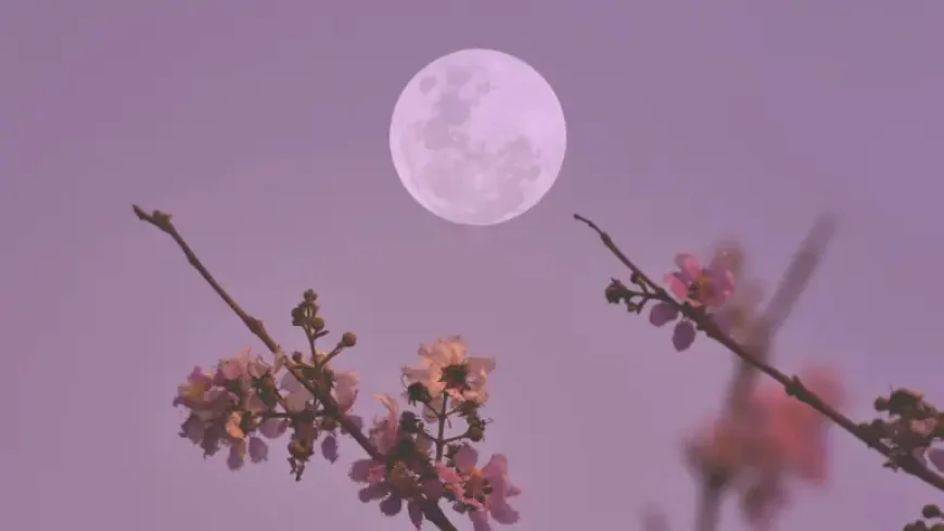 What Day Is Easter 2026 — Full Moon Rules and Children’s Celebrations