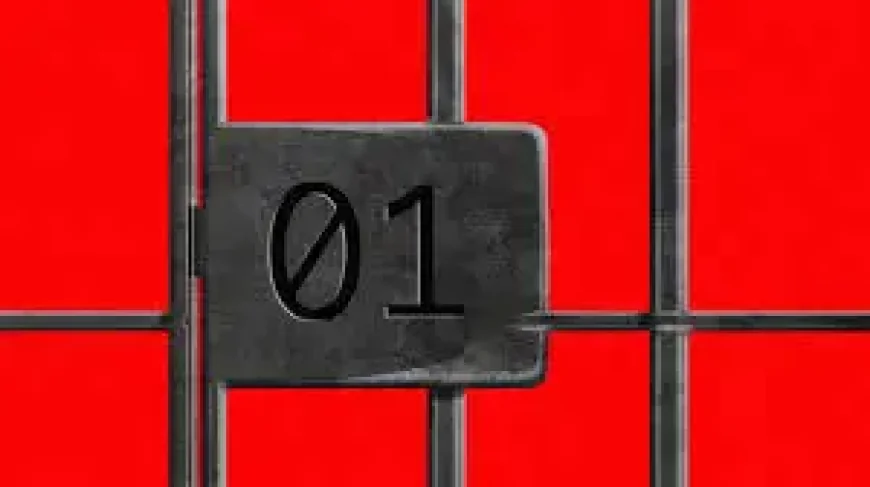 Github Takedowns and 500,000 Lines: Twin Incidents Shake the AI Industry