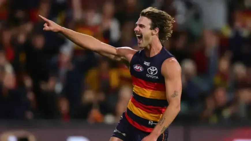Alex Pearce: Adelaide Oval starts rocking as Crows come from clouds