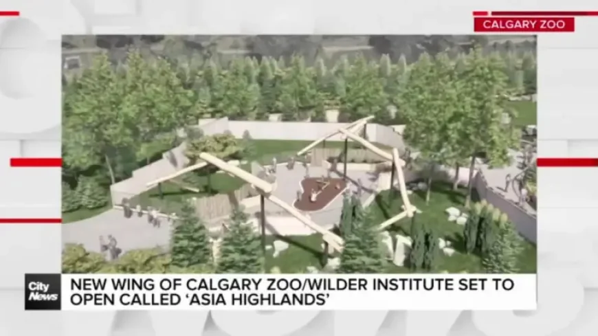 Calgary Zoo: New ‘Asia Highlands’ wing set to open as an inflection point