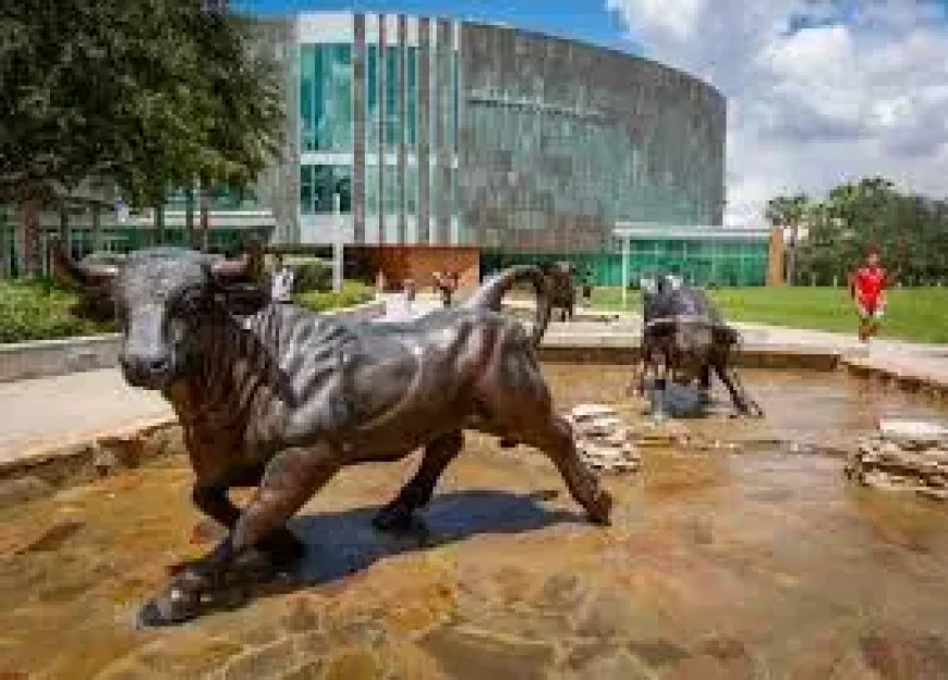 Usf Bomb Threat: Uncertainty Spreads Near the University of South Florida’s Tampa Campus