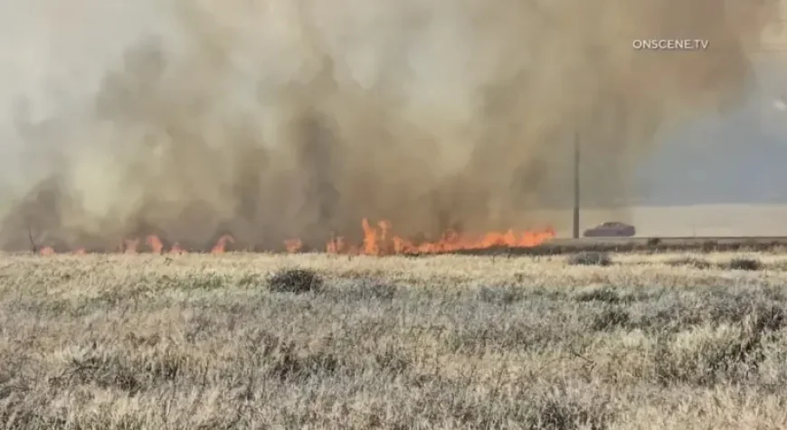 Moreno Valley Fire: Wind-Driven Springs Fire Scorches 50 Acres and Triggers Evacuation Requests