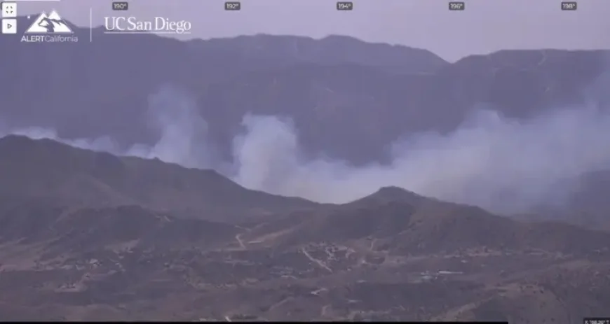 Acton Fire: Crown Fire Brush Blaze Breaks Out, Evacuation Order Issued