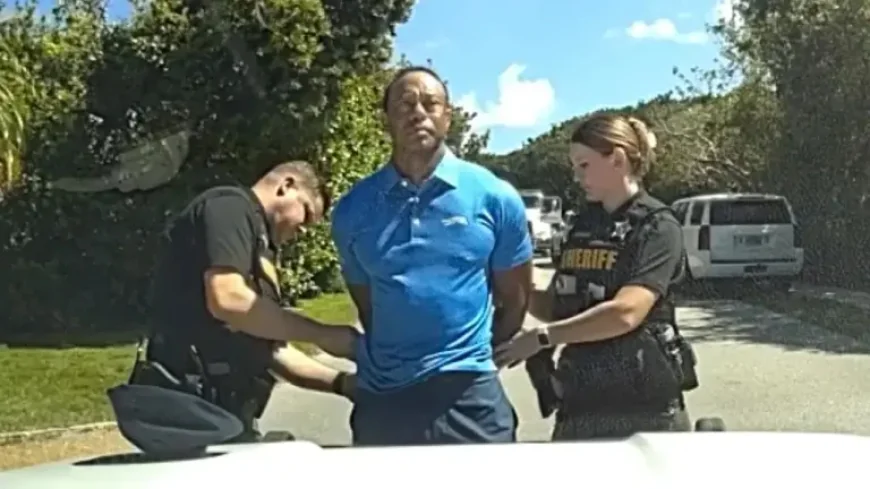 Abc News Just In: Bodycam Shows Tiger Woods Saying He ‘Was Just Talking to the President’ After Arrest