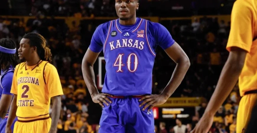 Expert: Michigan Basketball Ideal for Transfer Opportunity