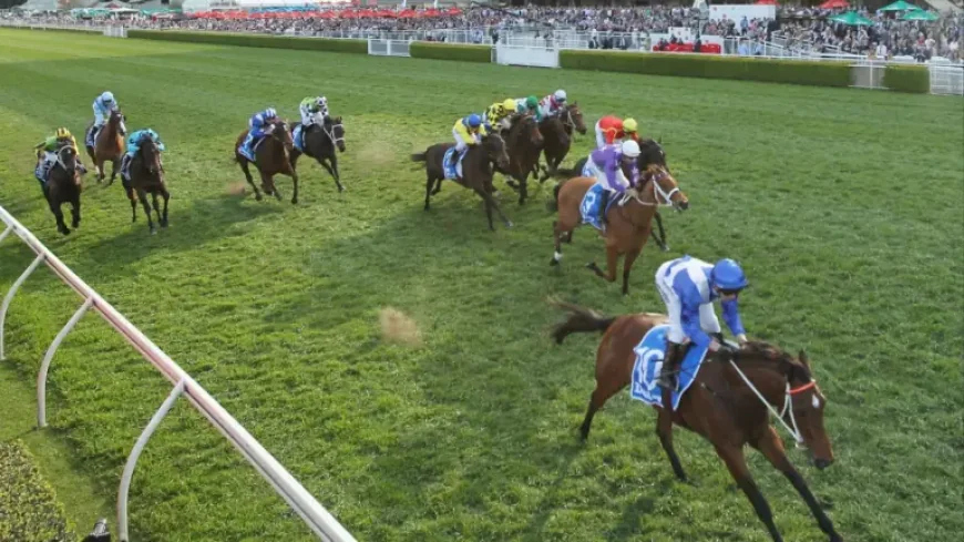 Randwick Races Today: Mick Gannon’s ‘Charging late’ call and the form that matters