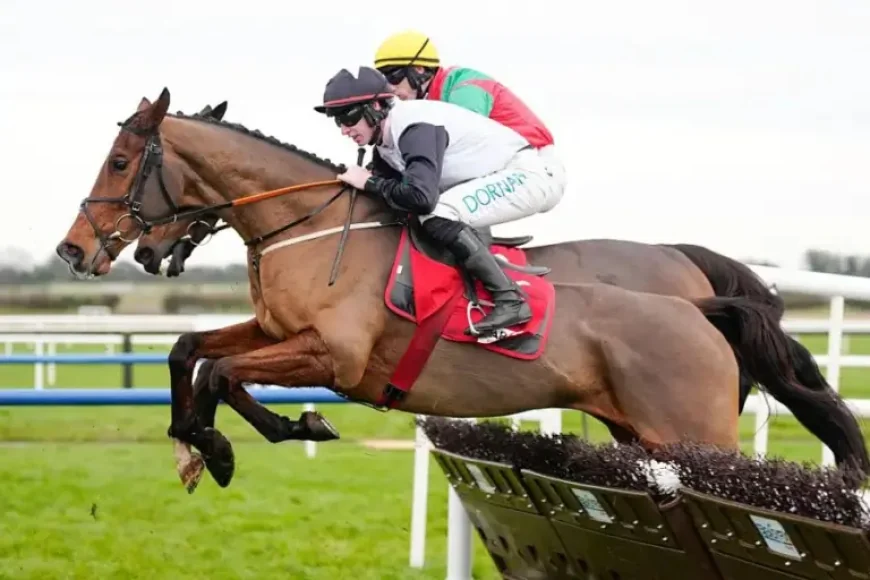 Irish Grand National 2026: Monbeg Genius heads to Fairyhouse as markets stir