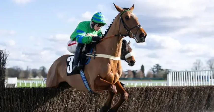 Irish Grand National 2026: A 30-Runner Field and the People Behind the Plans