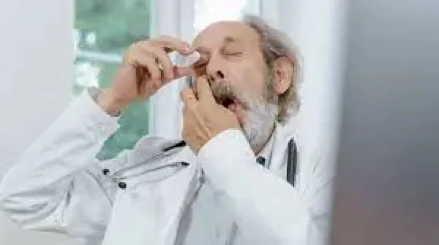 Hsv: Hamburg SV Seek Bounce-Back Against Augsburg After Late Collapse