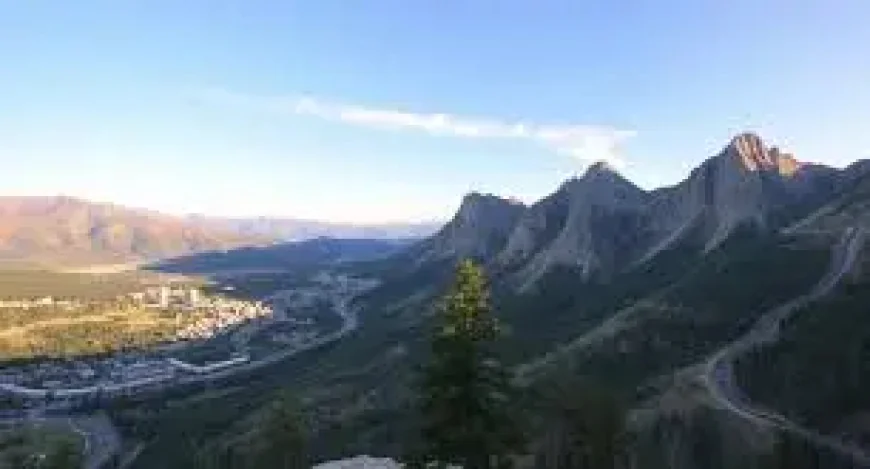 Uzbekistan and Kazakhstan Elevate Farming Ties: 5 Priorities Emerging from Joint Agricultural Talks