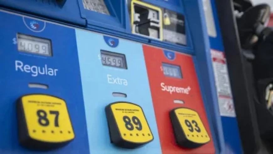 AI-Proof Careers: Psychology and Education Degrees Yield Negative Returns