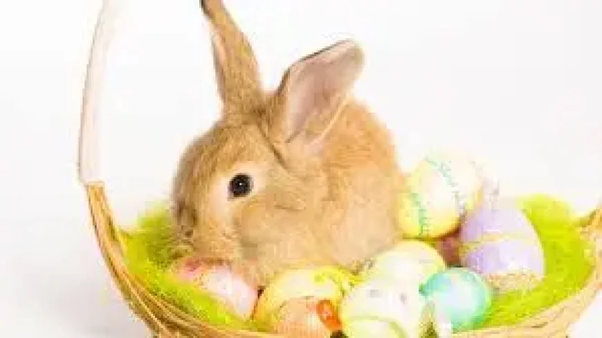 Ouvert Ou Fermé Lundi De Pâques: a practical map of what changes, and what stays open