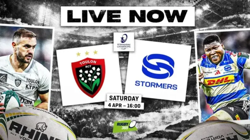 Toulon Vs Stormers: 3 selection calls that could shape a Champions Cup response