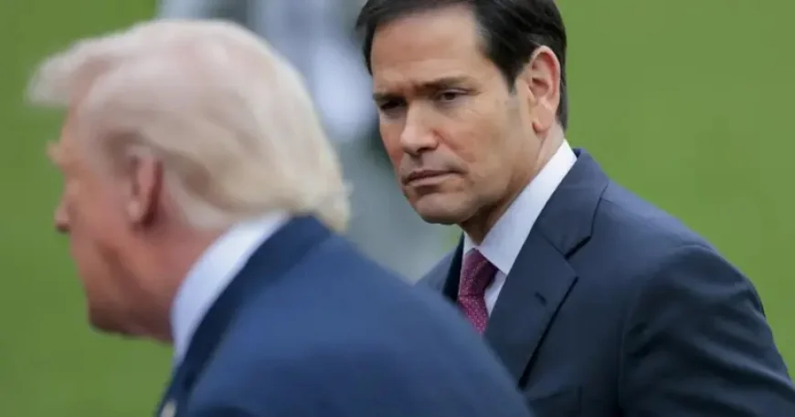 Hamideh Soleimani Afshar Arrest Raises a Harder Question About U.S. Immigration Powers