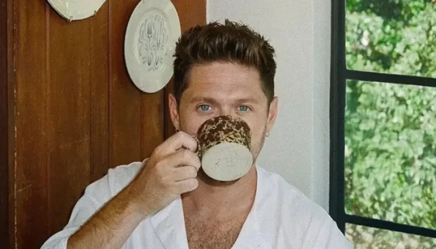 One Direction Spotlight: Niall Horan’s “Dinner Party” Era Signals 2026’s Most Talked-About Solo Run