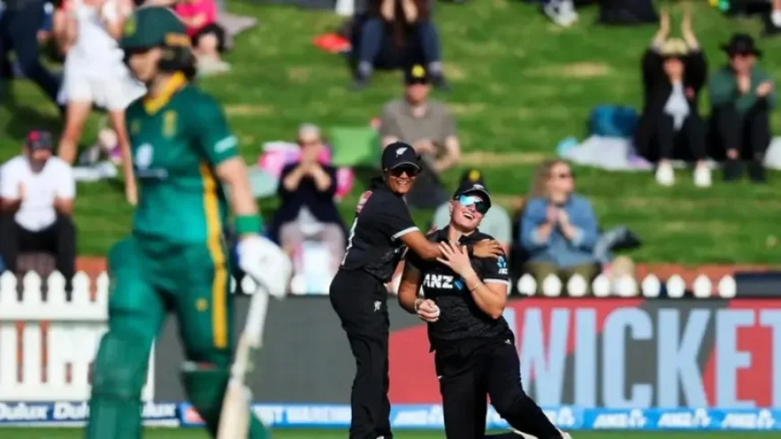 Championship Standings: Wrexham’s Safety Net Looks Thin as the Playoff Race Tightens