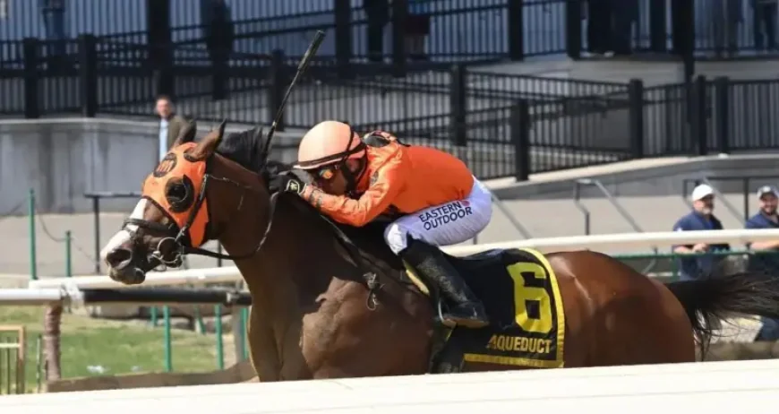 Aqueduct Racetrack: Yo Daddy’s Listed Excelsior breakthrough and 5-race surge