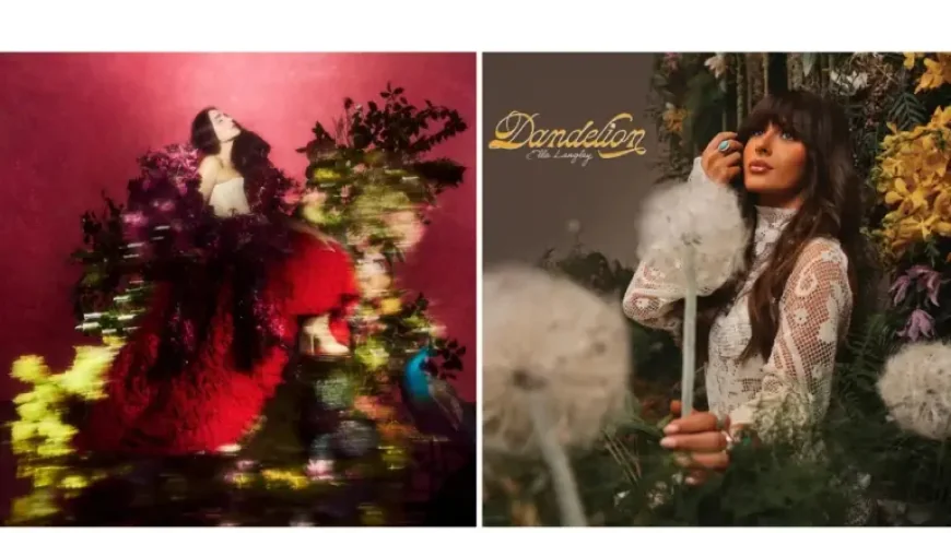 Jonah Hill Returns With Outcome as Streaming Picks Bring a Fresh Week of Choices