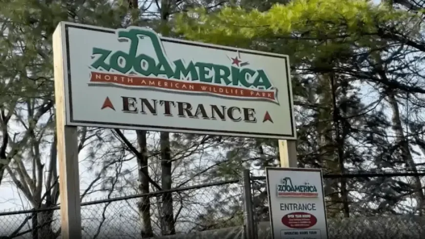 Zooamerica and a Toddler’s Brief, Frightening Encounter at a Wolf Habitat