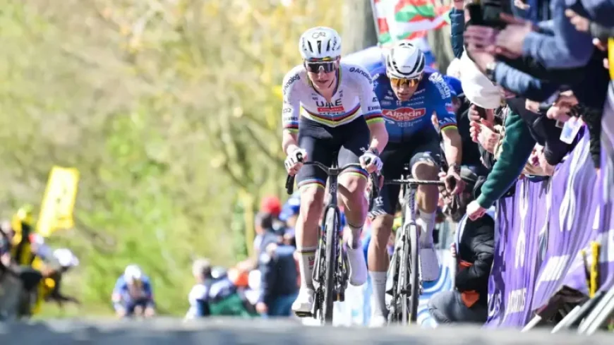 Tour Des Flandres 2026: 4 Heavy Favorites, One Course, and a Rare All-Star Collision