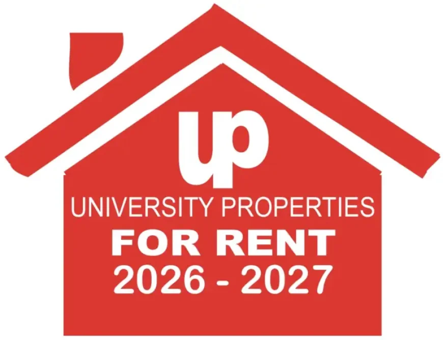 One Piece Elbaf Arc Raises the Stakes After a Long Hiatus Returns to Elbaf