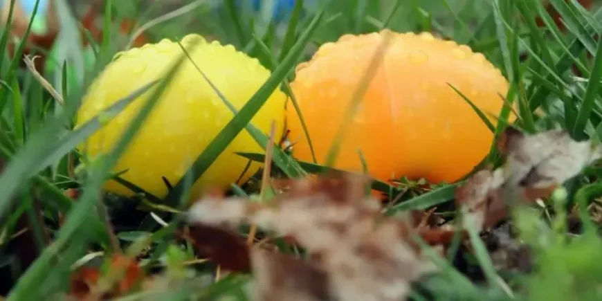 Washington Dc Weather: 87 Degrees Saturday Before Rain Threatens Easter Sunday Plans