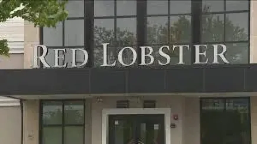 Pizza Chain Closing: how a 50-year run ended in silence and bankruptcy