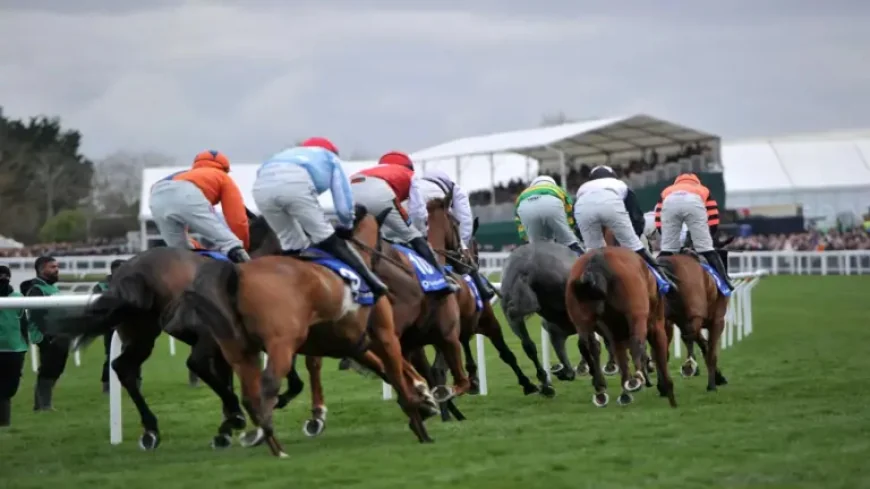 Bet365 referral code ROTOWIRE offers up to $500 in bonus bets