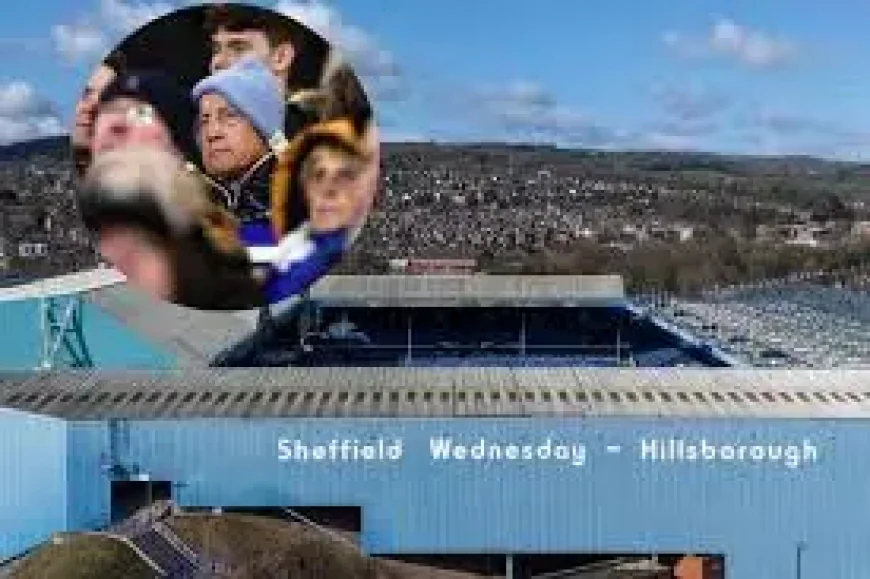Swfc: 3 signals Henrik Pedersen and David Storch are shaping next season