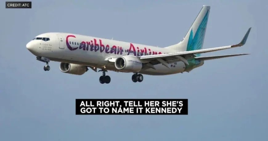 In-Flight Birth from Jamaica to NYC: Listen to Vibrant ATC Audio