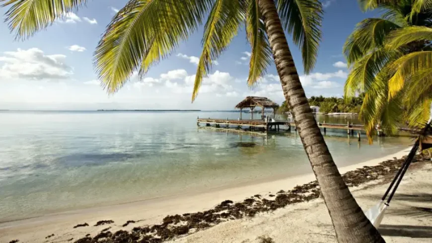 Belize travelers warned as mosquito-borne illnesses rise