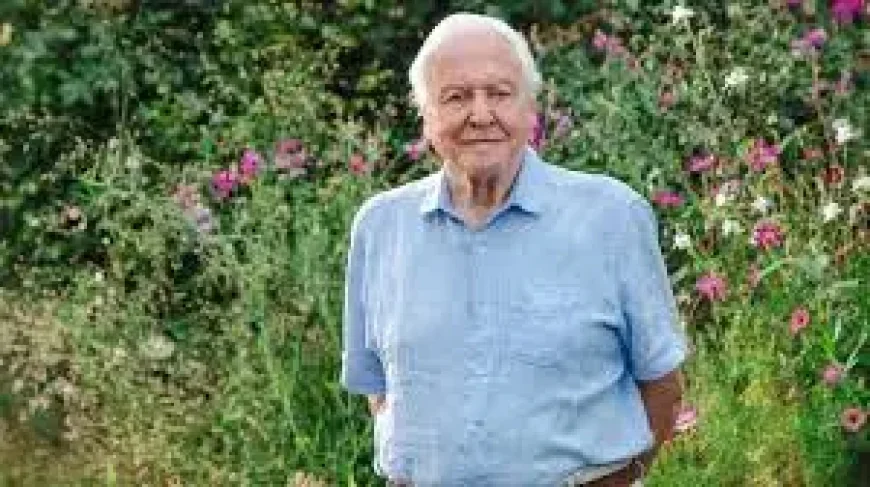 Tv Tonight: David Attenborough’s Secret Garden Is a 100th-Birthday Surprise