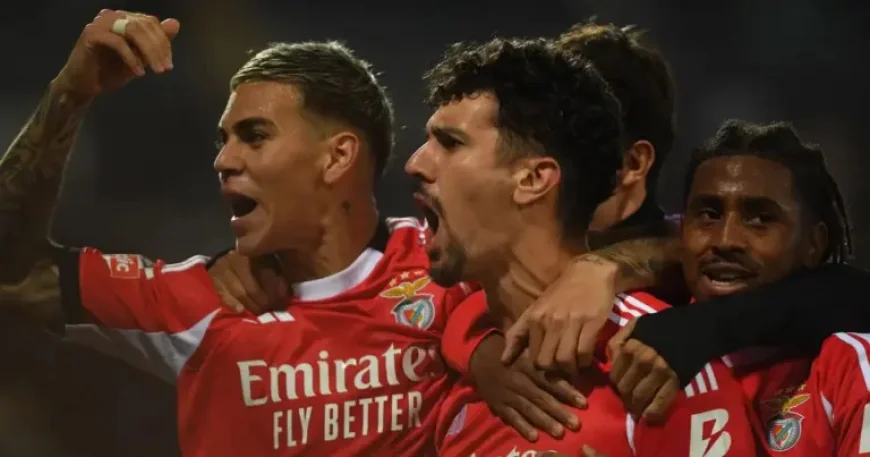 Casa Pia Vs Benfica: 4 things to watch after Tomás Araújo’s late injury blow