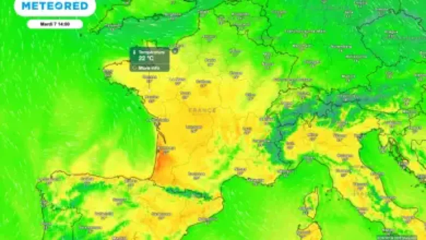 Ice Agents Detain Annie Ramos: 3 Details Raising Questions About a Military Family Arrest