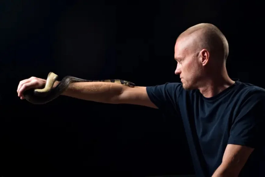 Venin De Serpent: 856 Self-Injected Doses, One Scientific Breakthrough, and the Race for a Universal Antivenom