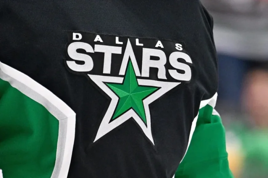 Dallas Stars Ban Fan Following Alleged Nazi Salute at Game