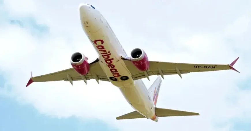 Baby Born Caribbean Airlines Flight: 3 Details Behind the Midair Delivery on the Jamaica-New York Route
