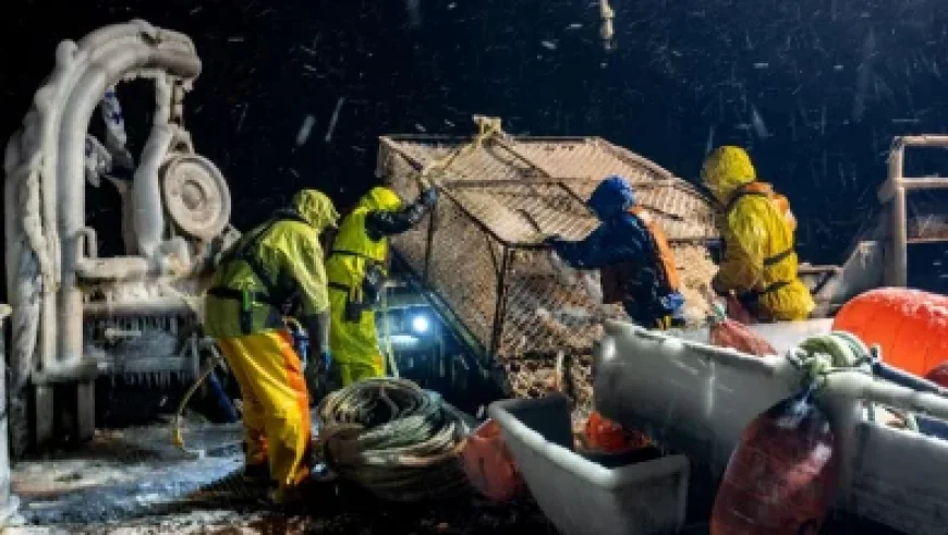 Michael Movie Reshoots Address and Remove Child Abuse Allegations