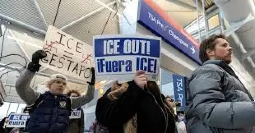 Ice Arrested Over 800 People Using Tsa Passenger Information: What the Internal Data Shows