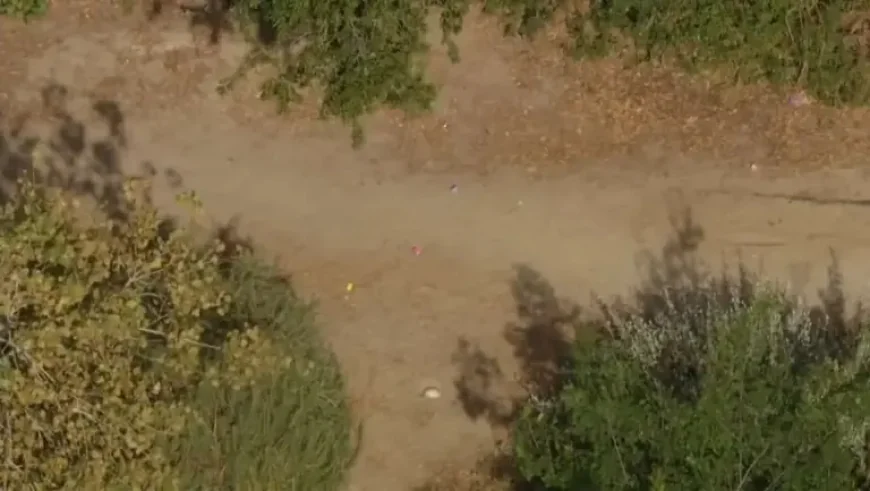 Crâne Found During Easter Egg Hunt Leaves Long Beach Families Shaken