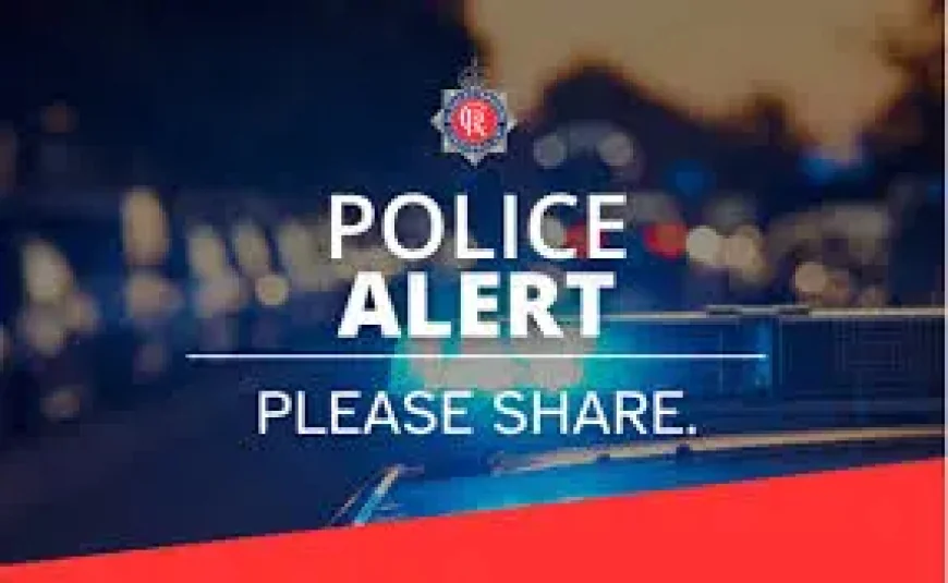 Drivers warned over 600-tonne Load M5 Delays as police escort 12mph abnormal convoy