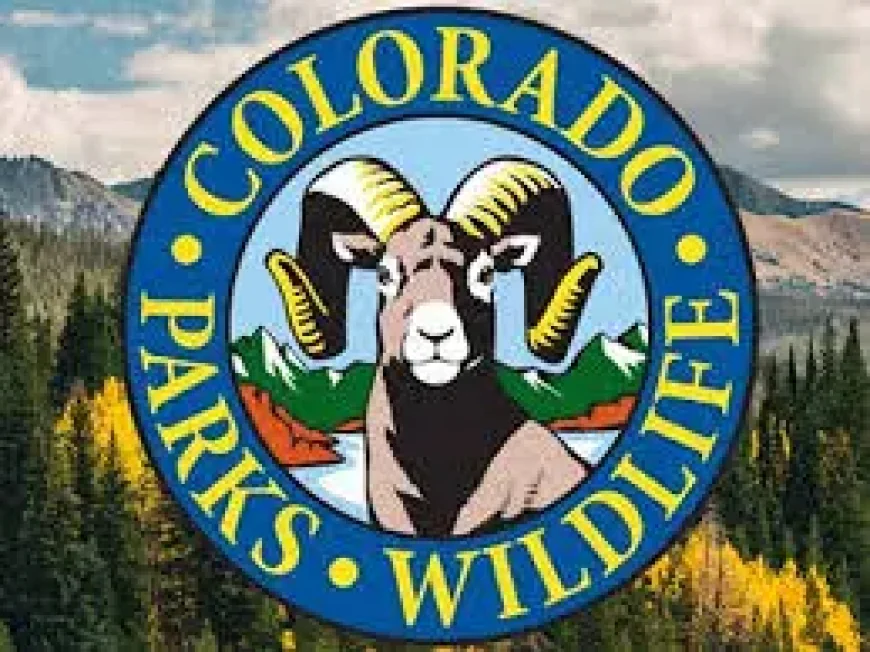 Colorado Parks And Wildlife as the elk-license debate gathers pace