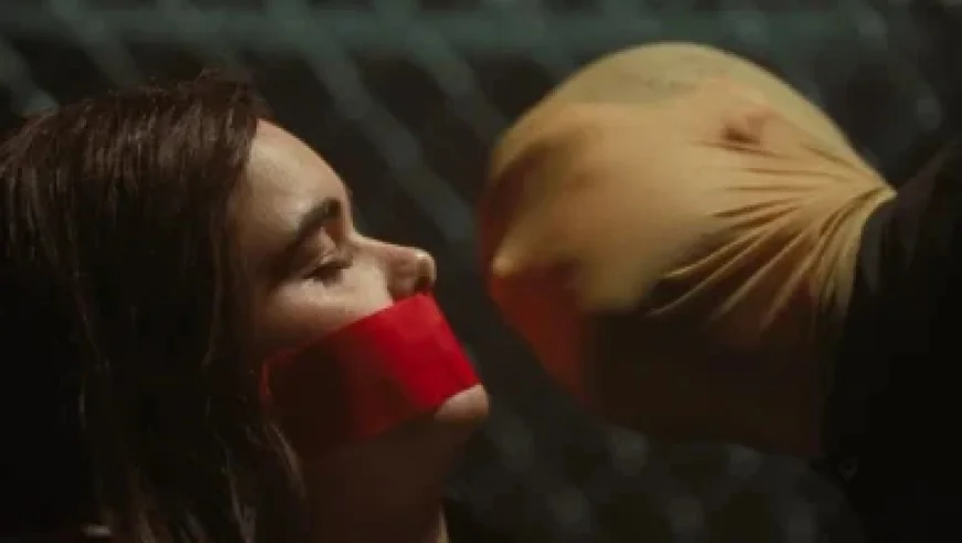 Aubrey Plaza and Christopher Abbott Expecting Their First Child