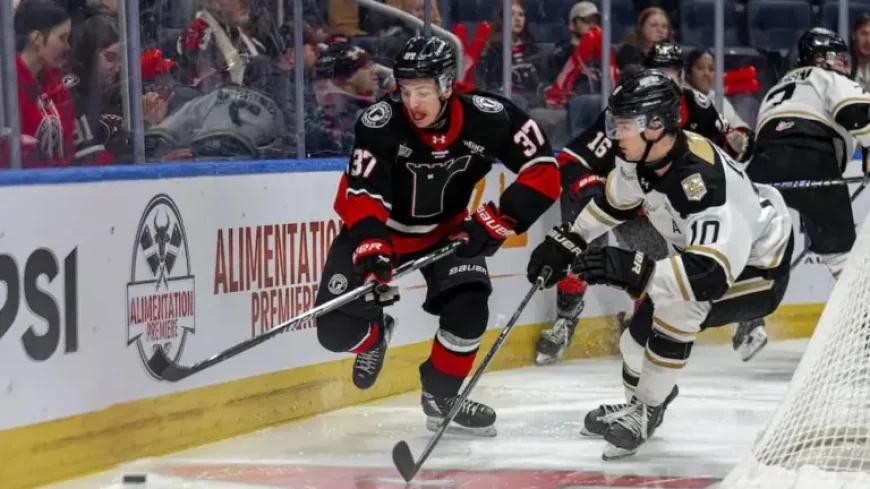 Lhjmq Series: Remparts Force a Winner-Take-All Game in Charlottetown